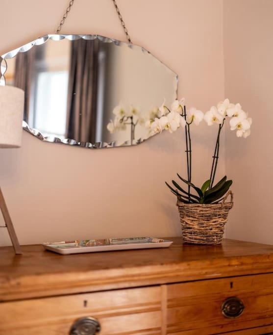 Beautiful & Spacious Retreat In Winchester Esterno foto